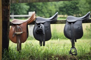 Dressage Saddle pic