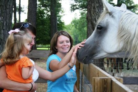 Paradise Cay Arabians