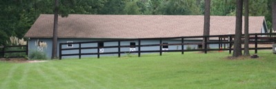 Paradise Cay Arabians